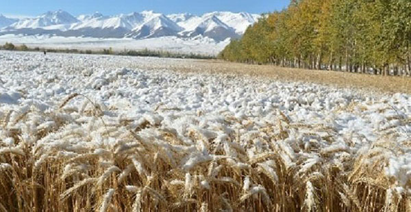 COPERTINA Sovranisti ma