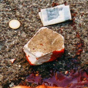 FOTO B. sasso carlo.600x600