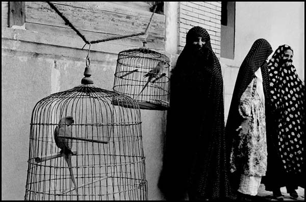 FOTO 3 De la Perse à l'Iraq.jpg