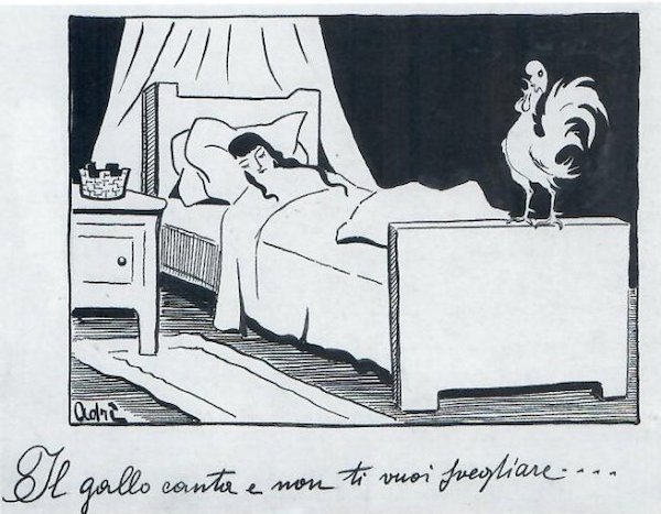 3-Adriana Bisi Fabbri-il gallo canta e non ti vuoi svegliare