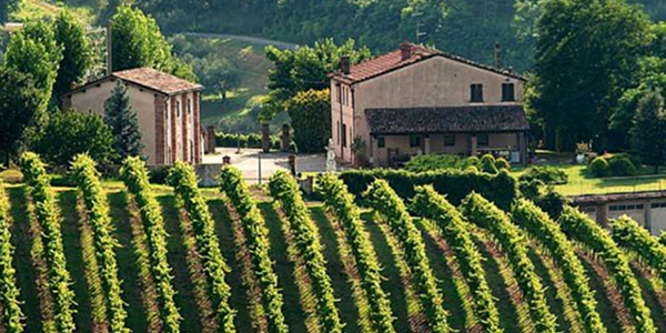 FOTO 3 Fattoria Zerbina