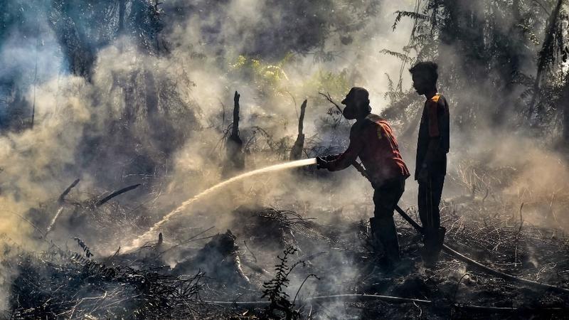 Foto 3. Il fuoco in Indonesia.Credit. Wahyudi Afp