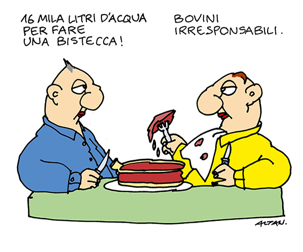 Immagine3. 600x500.2