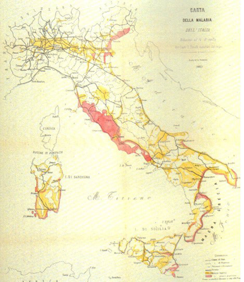 Carta di Torelli, 1882