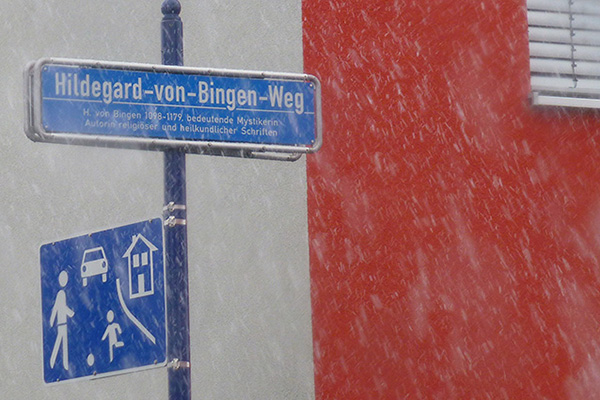 8. Friburgo (D), foto di Filippo Altobelli