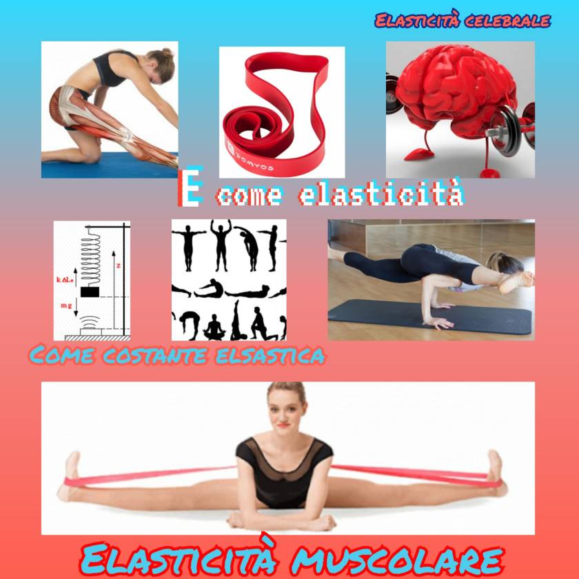 Foto8_E_3C_DavideSimetti-E