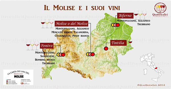 1. carta molise