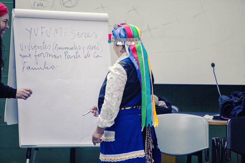 Figure 1 Maria Teresa Panchillo, comunità Mapuche cilena. Credit_Associazione Laima, Culture Indigene di Pace 2016