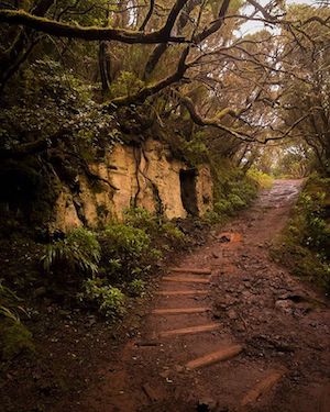 Foto3 Tenerife. Parco di Anaga