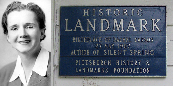 Foto1. Rachel Carson in una foto del 1940. A destra, la targa commemorativa apposta sulla sua casa, qualificata come National Historic Landmark
