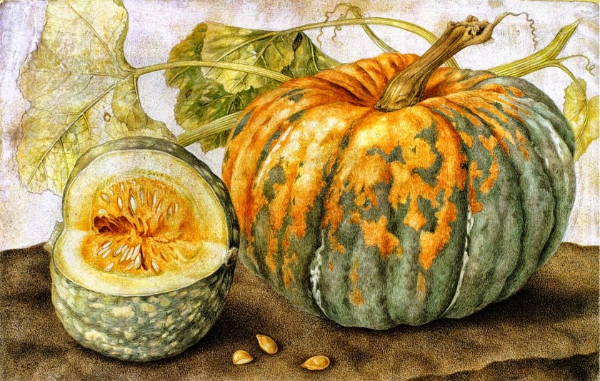 Questa immagine ha l'attributo alt vuoto; il nome del file è giovanna-garzoni-e28093-natura-morta-con-zucca.jpg