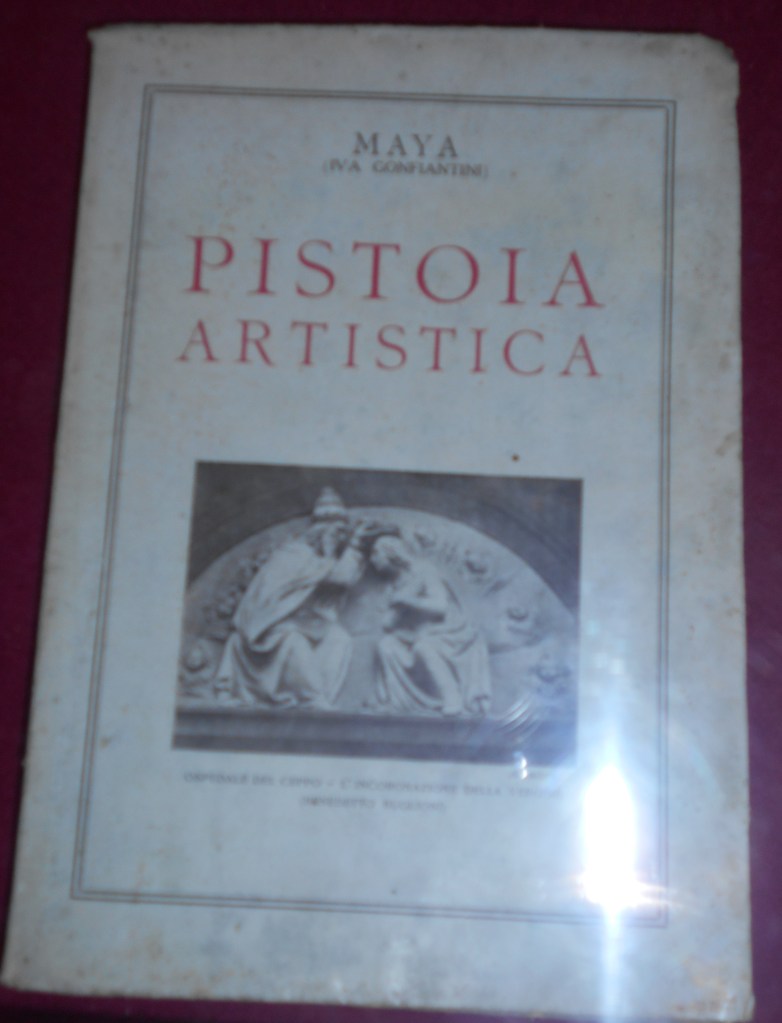 Maya, Pistoia artistica, copertina, foto di Laura Candiani