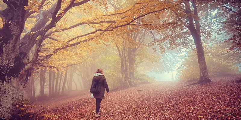 Strade bianche. Autunno nelle Marche